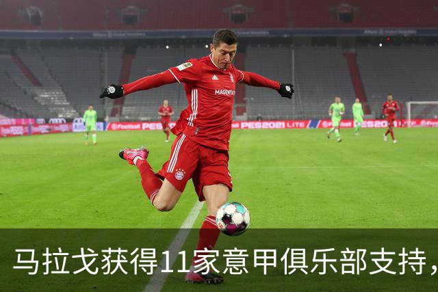 马拉戈获得11家意甲俱乐部支持，竞选意大利足协主席